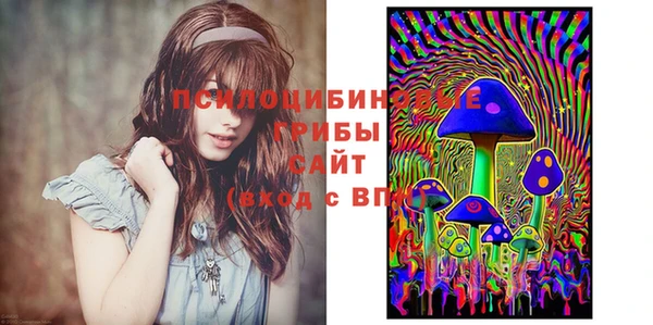 mdpv Магадан