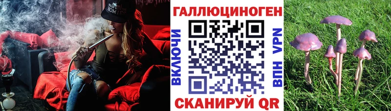 где найти наркотики  Фатеж  Псилоцибиновые грибы прущие грибы 